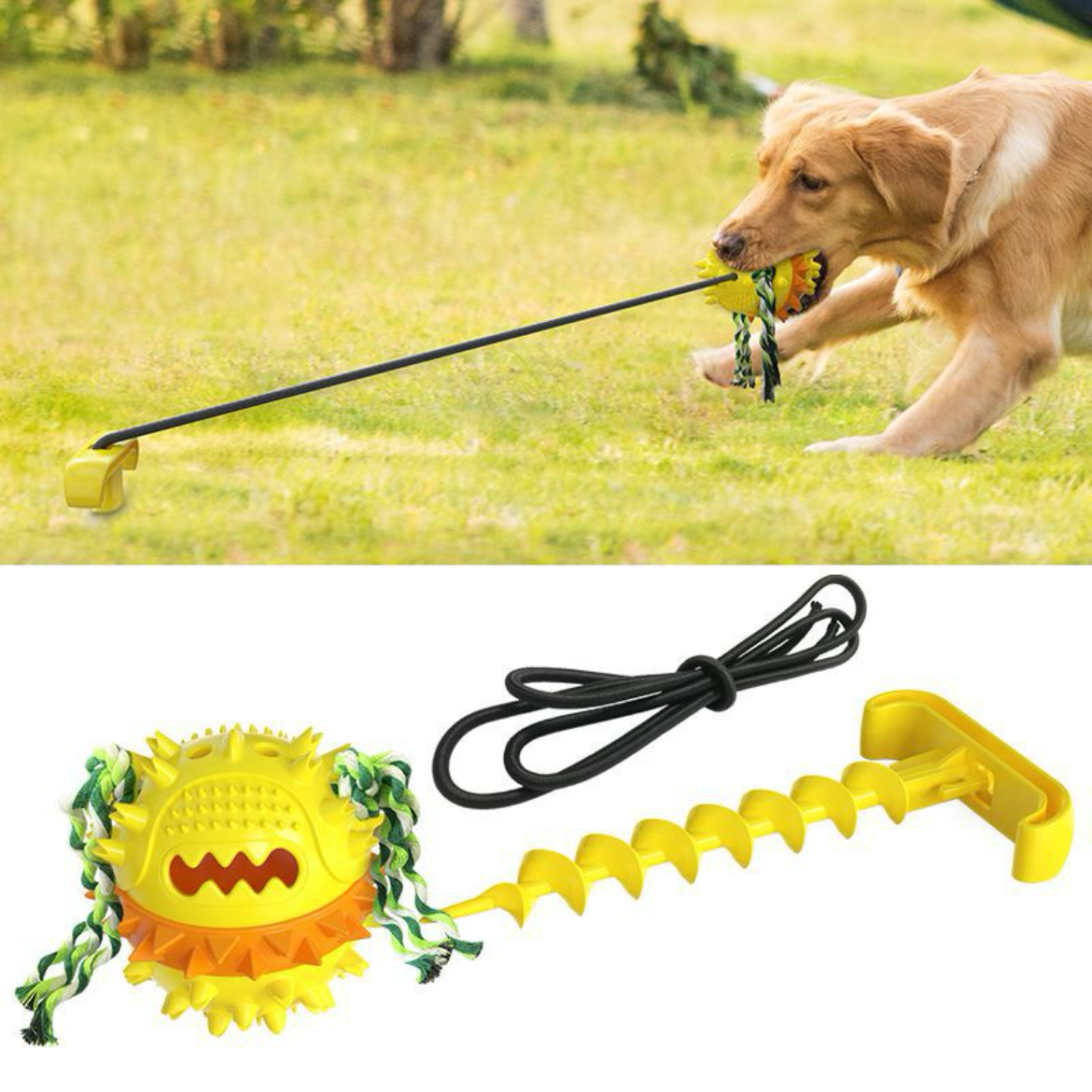 The Fetch Around & Find Out™ Dog Toy