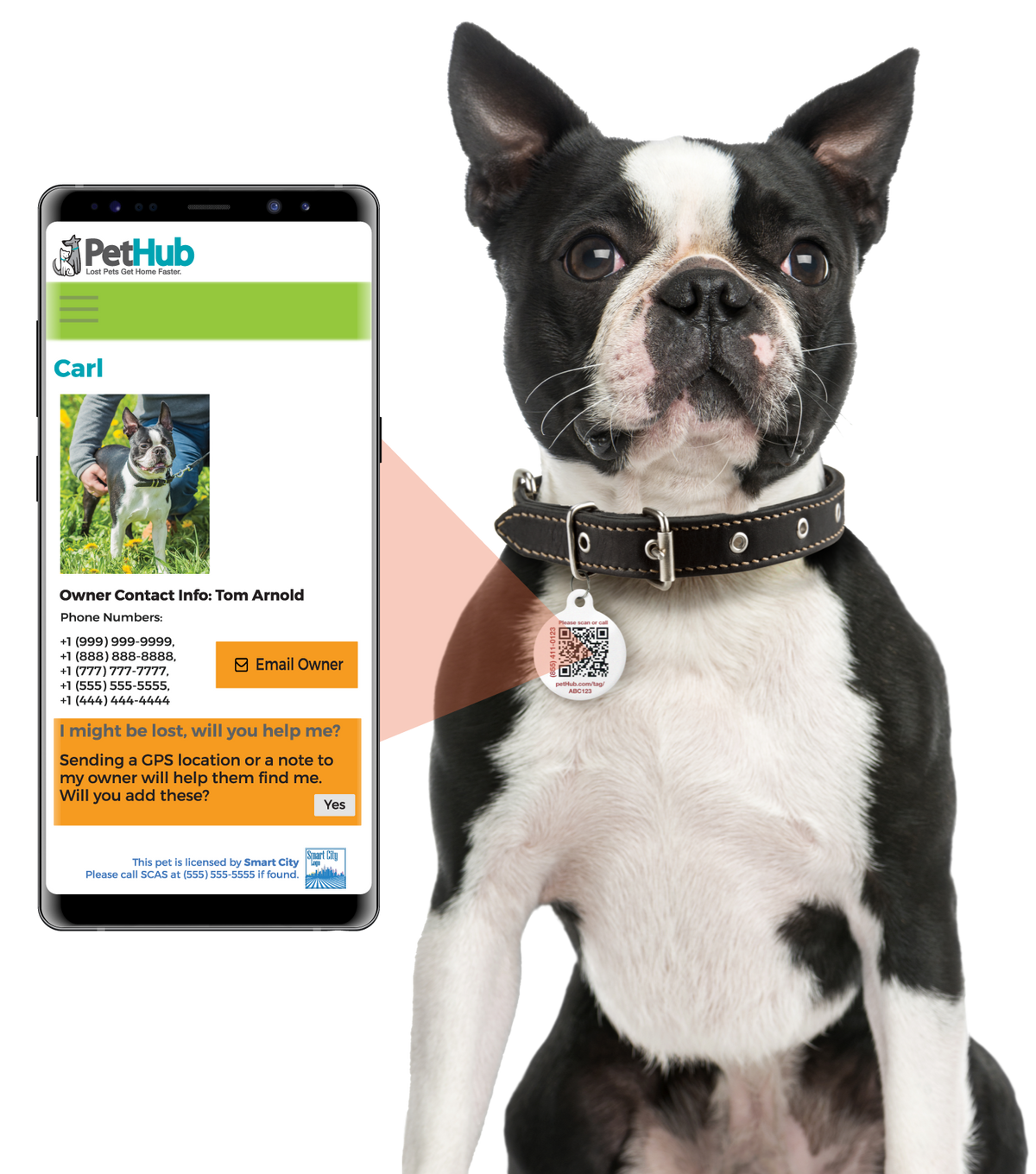 PetHub QR Pet ID Tag – Original Get Me Home Club